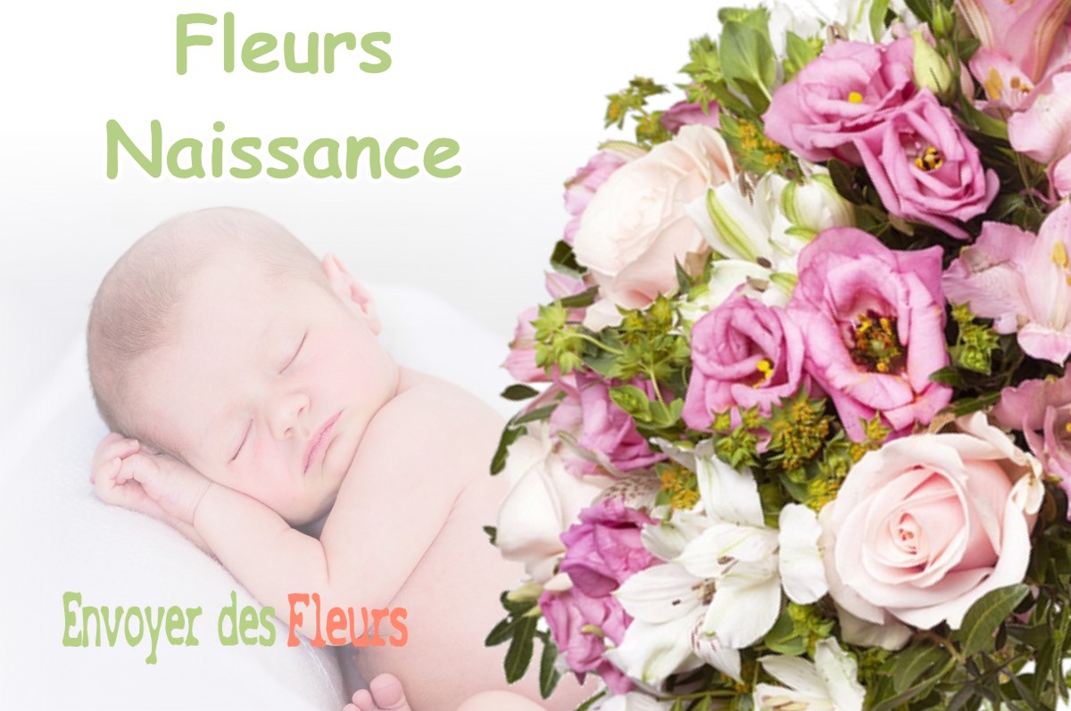 lIVRAISON FLEURS NAISSANCE à LE-DESCHAUX